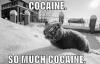 cocaine_t1.jpg