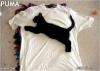 puma_t1.jpg